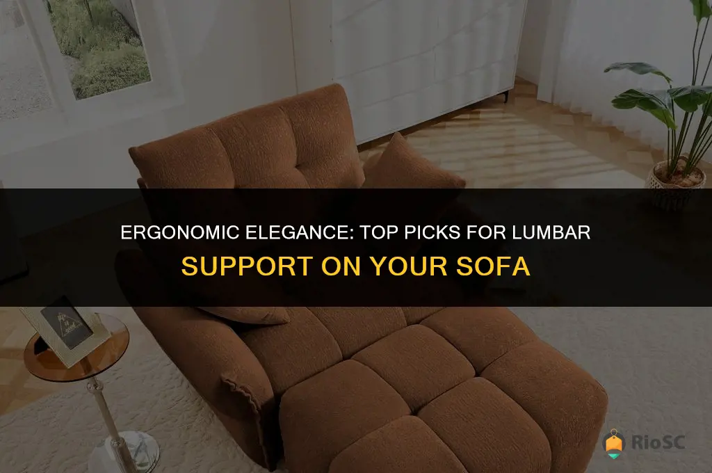 best lumbar support for sofa