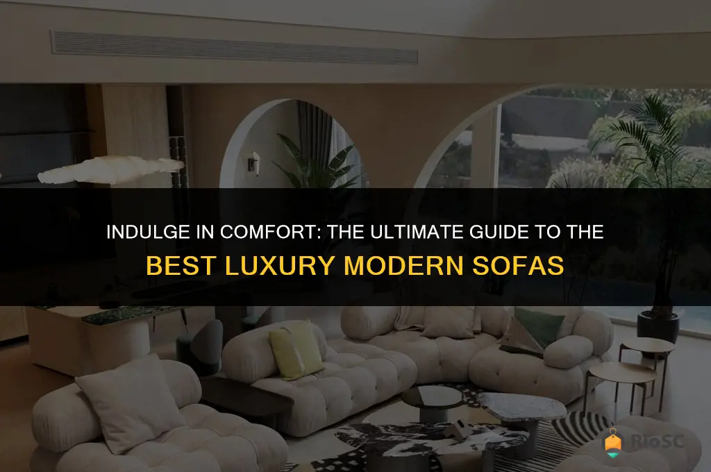 best luxury modern sofa
