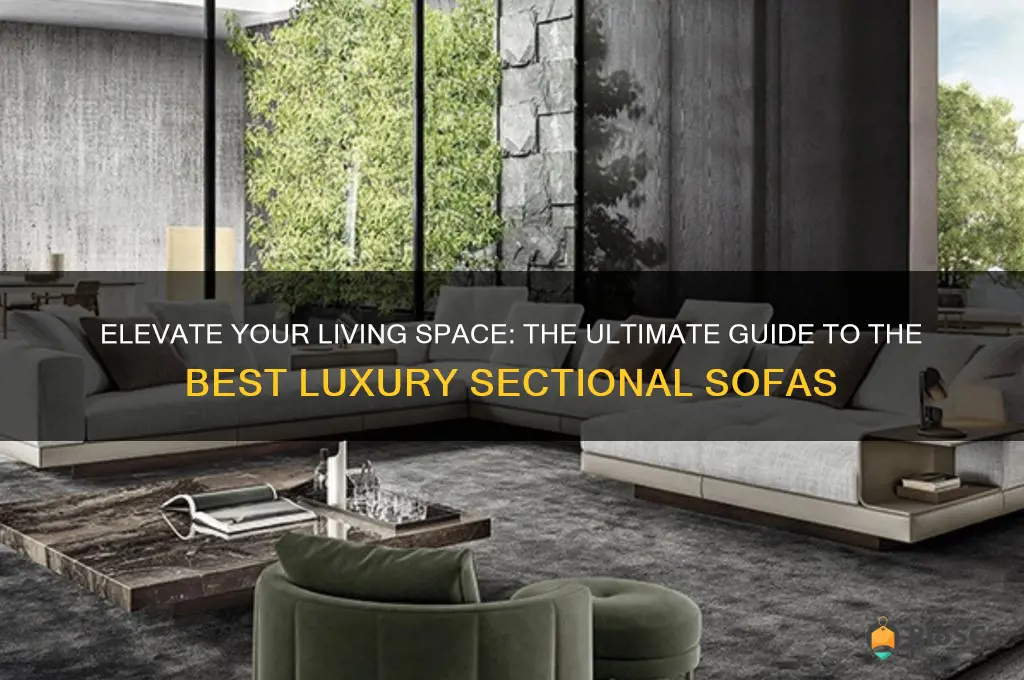 best luxury sectional sofa