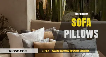 Indulge in Comfort: A Guide to the Finest Luxury Sofa Pillows