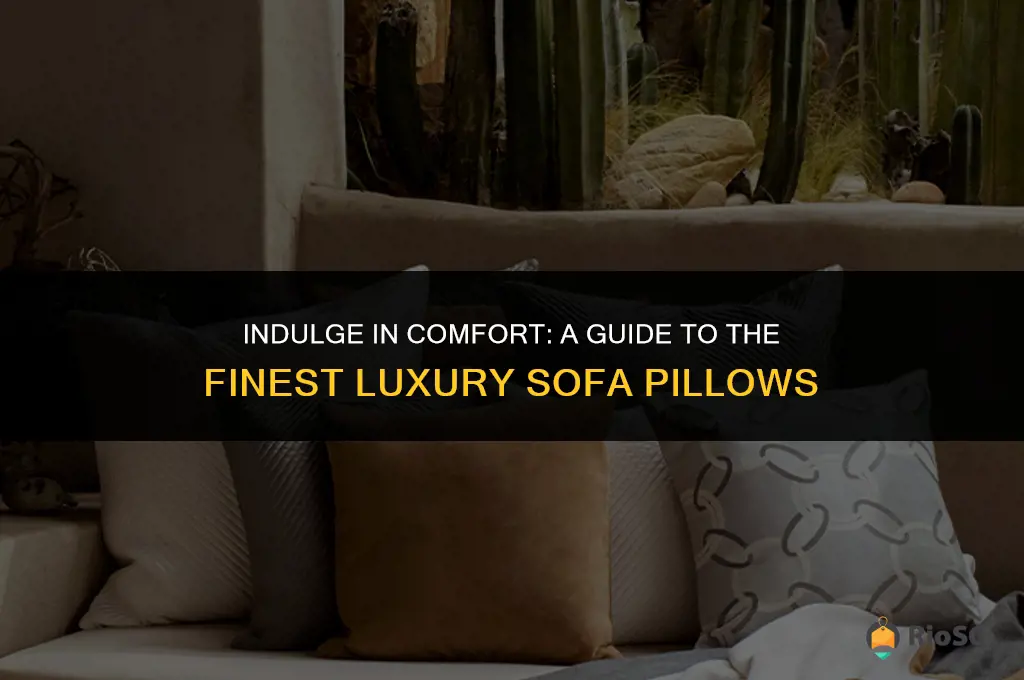 best luxury sofa pillows