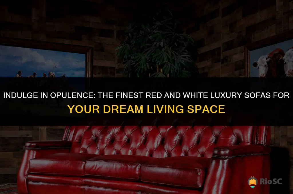 best luxury sofas red and white