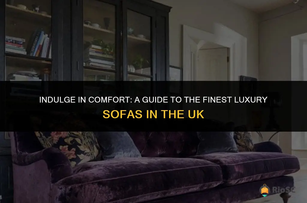 best luxury sofas uk