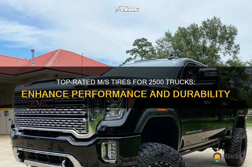 best m s tires for 2500 truck