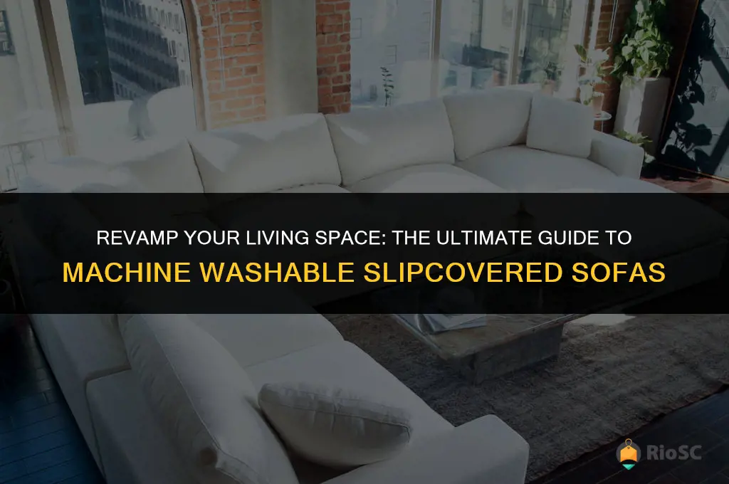 best machine washable slipcovered sofas