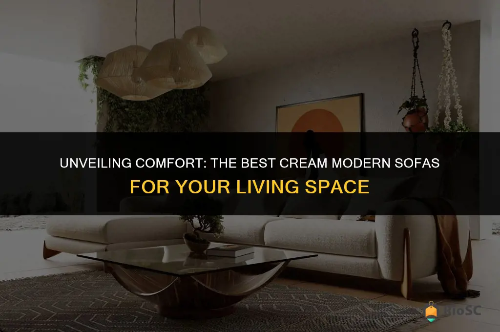 best made cream modern sofas