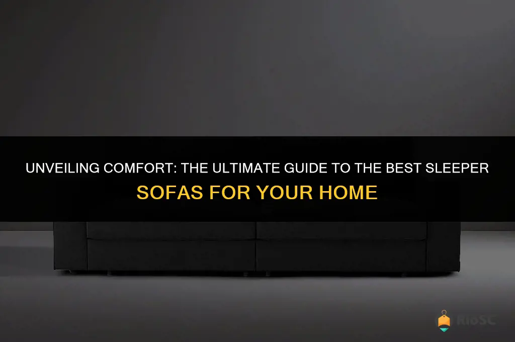 best made sleeper sofa