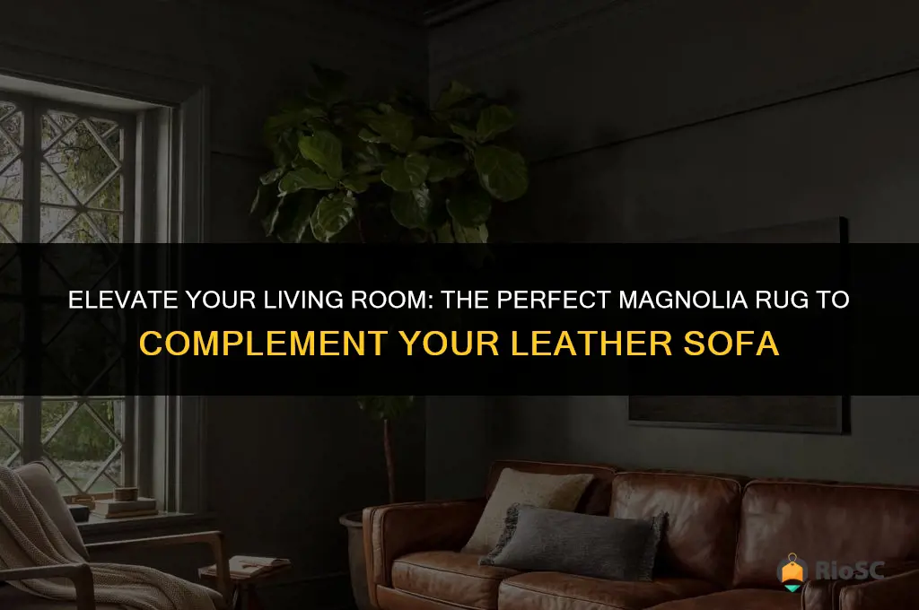 best magnolia rug for leather sofa