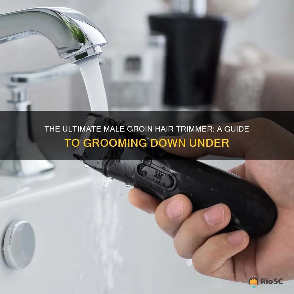 best male groin hair trimmer