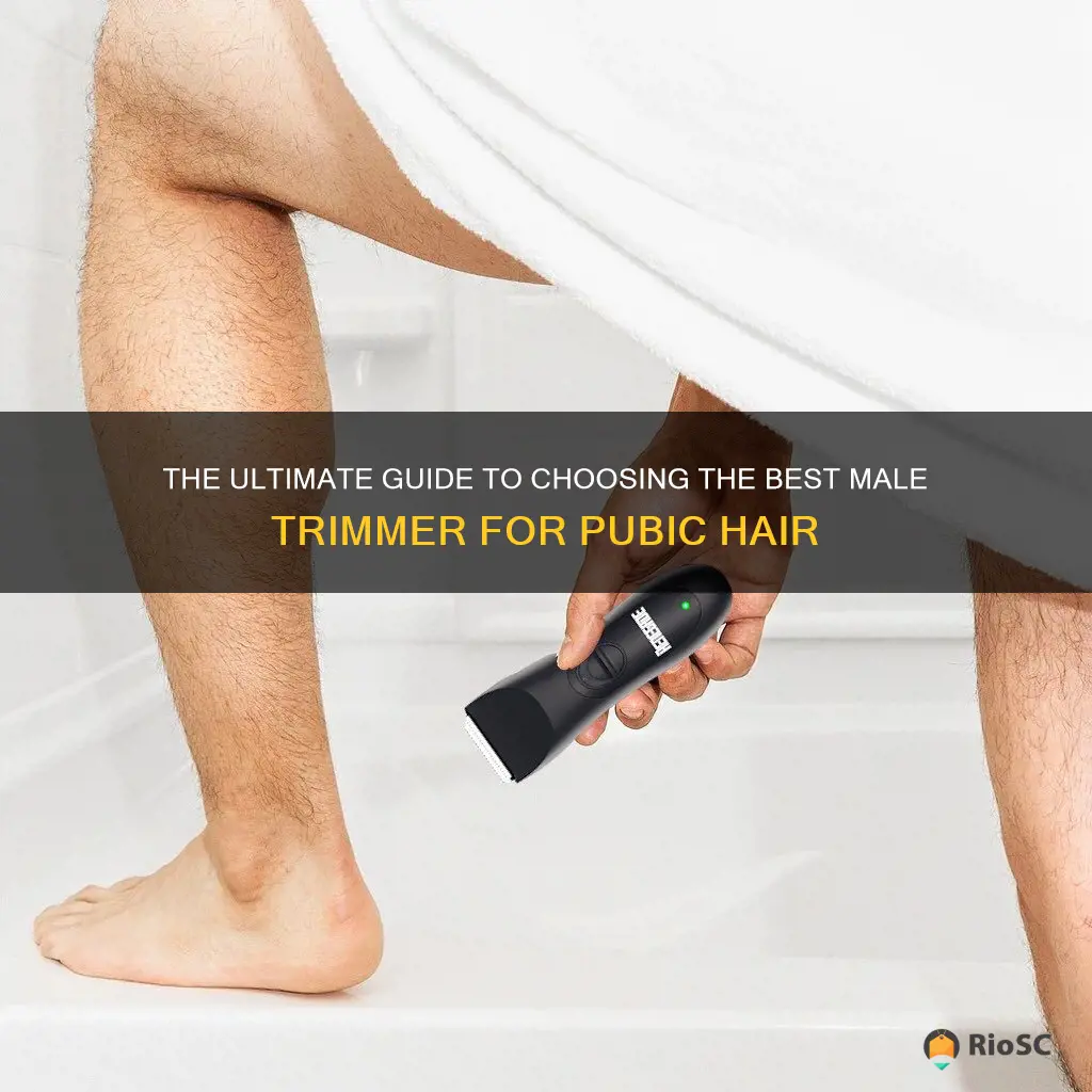 best male trimmer for pubic hair