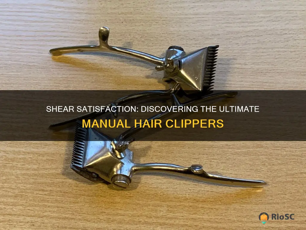 best manual hair clippers