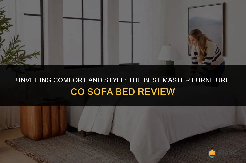 best master furniture co sofa bed