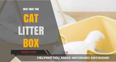 Top Picks: The Best Mats for Your Cat Litter Box to Keep Your Home Clean and Tidy