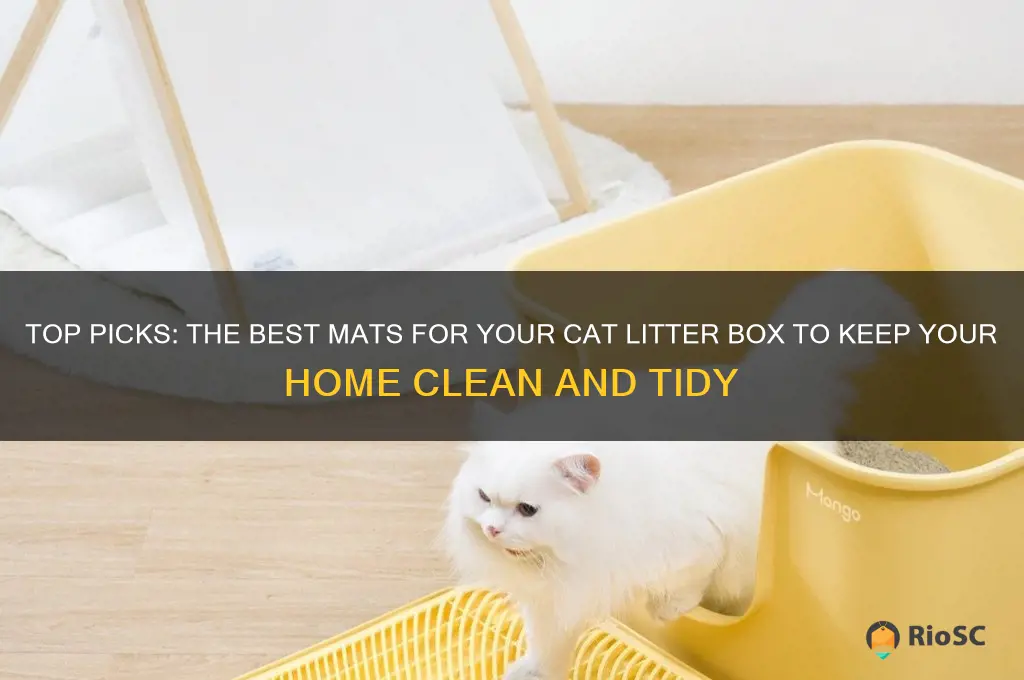 best mat for cat litter box
