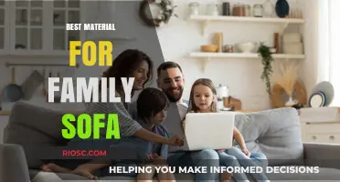 Choosing Comfort and Durability: The Ideal Material for Your Family Sofa