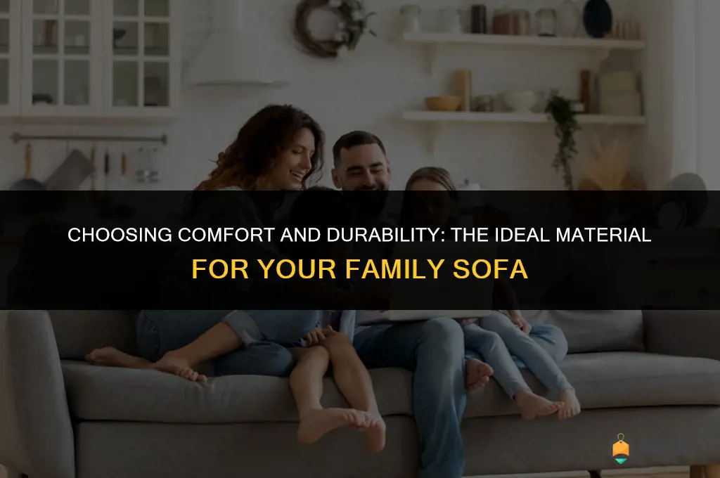 best material for family sofa