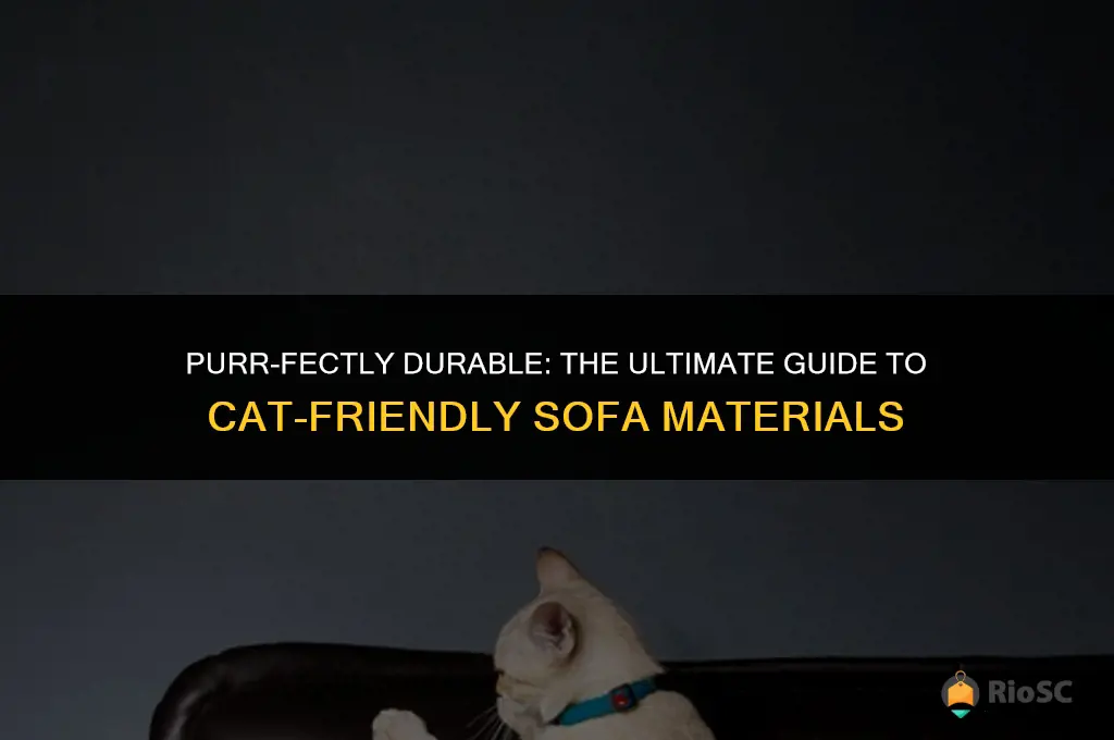 best material for sofa with cats