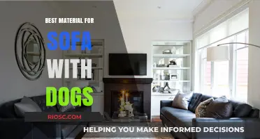 Pet-Friendly Sofa Materials: Top Choices for Durability and Easy Cleaning with Dogs