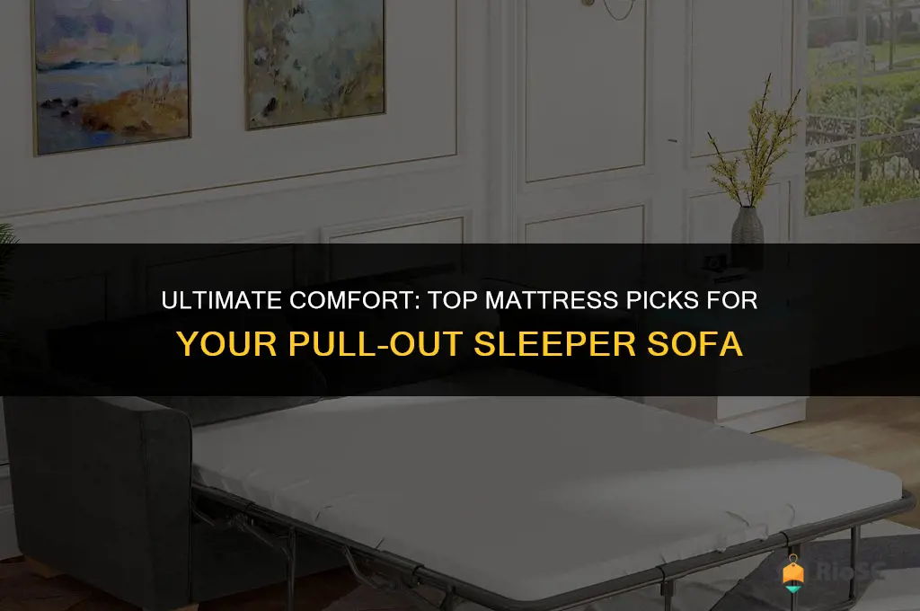 best matress for pull out sleeper sofa