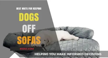 Protect Your Sofa: Top Picks for Dog-Friendly Mats