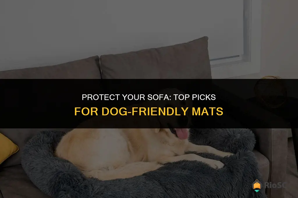 best mats for keeping dogs off sofas