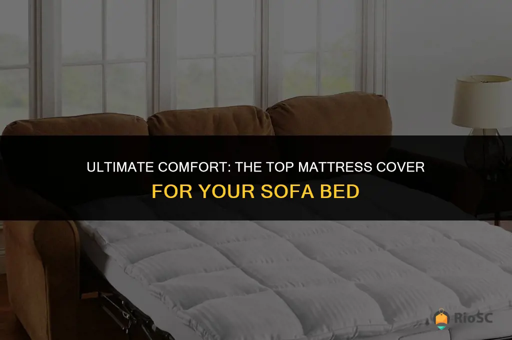 best mattress cover for sofa bed