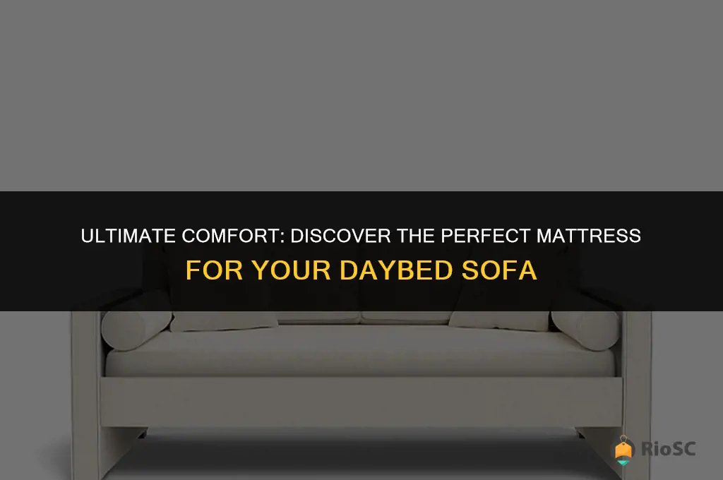 best mattress for daybed sofa