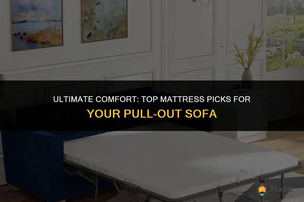 best mattress for pull out sofa