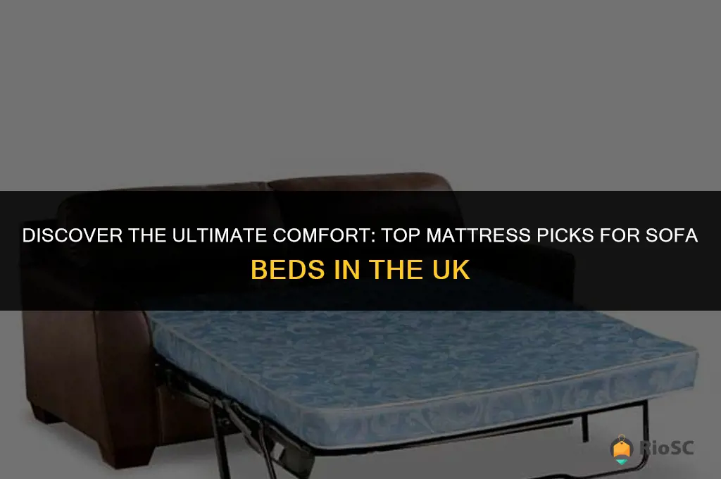 best mattress for sofa bed uk