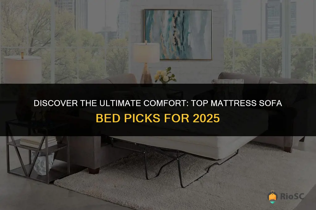 best mattress sofa bed 10025