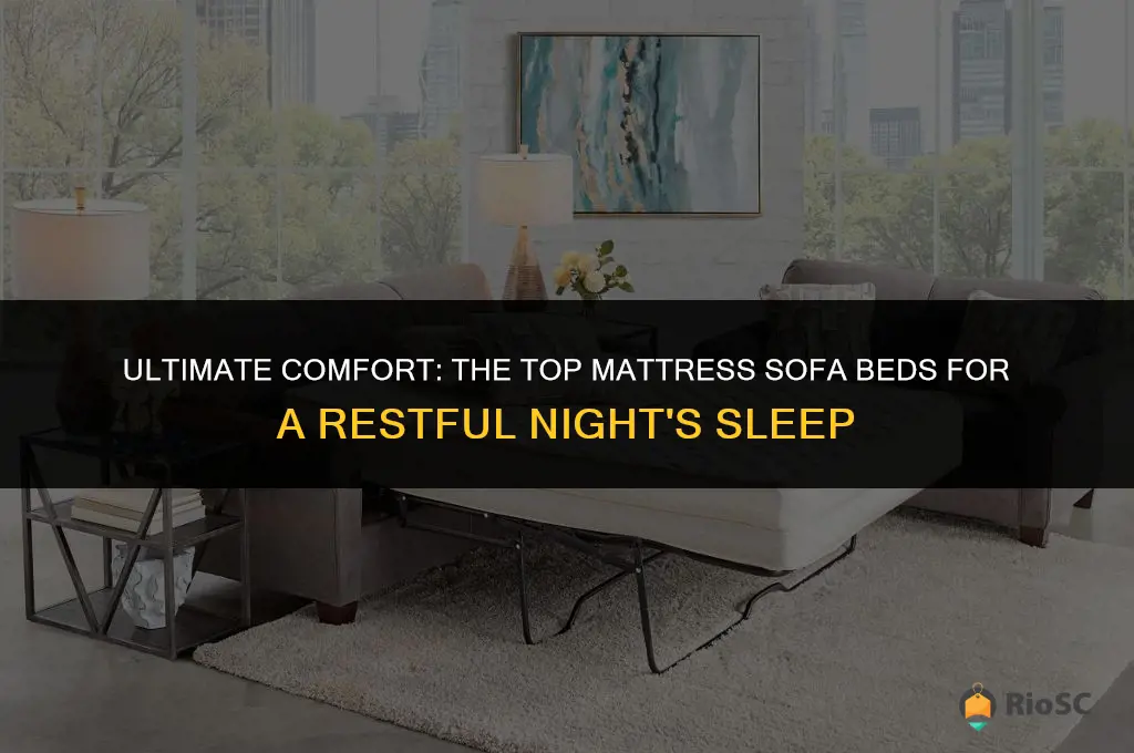 best mattress sofa bed
