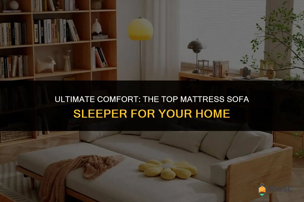 best mattress sofa sleeper