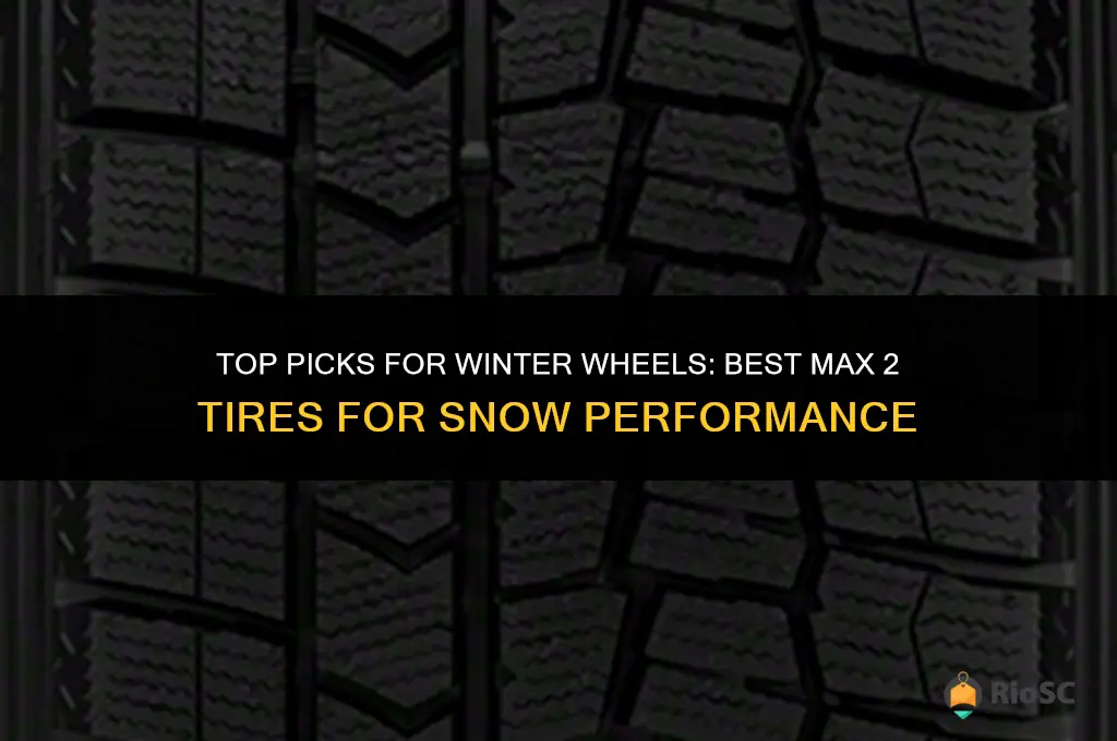 best max 2 tires for snow