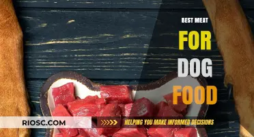 Top Choices for High-Quality Meat in Your Dog's Diet: What’s Best for Your Canine Companion?