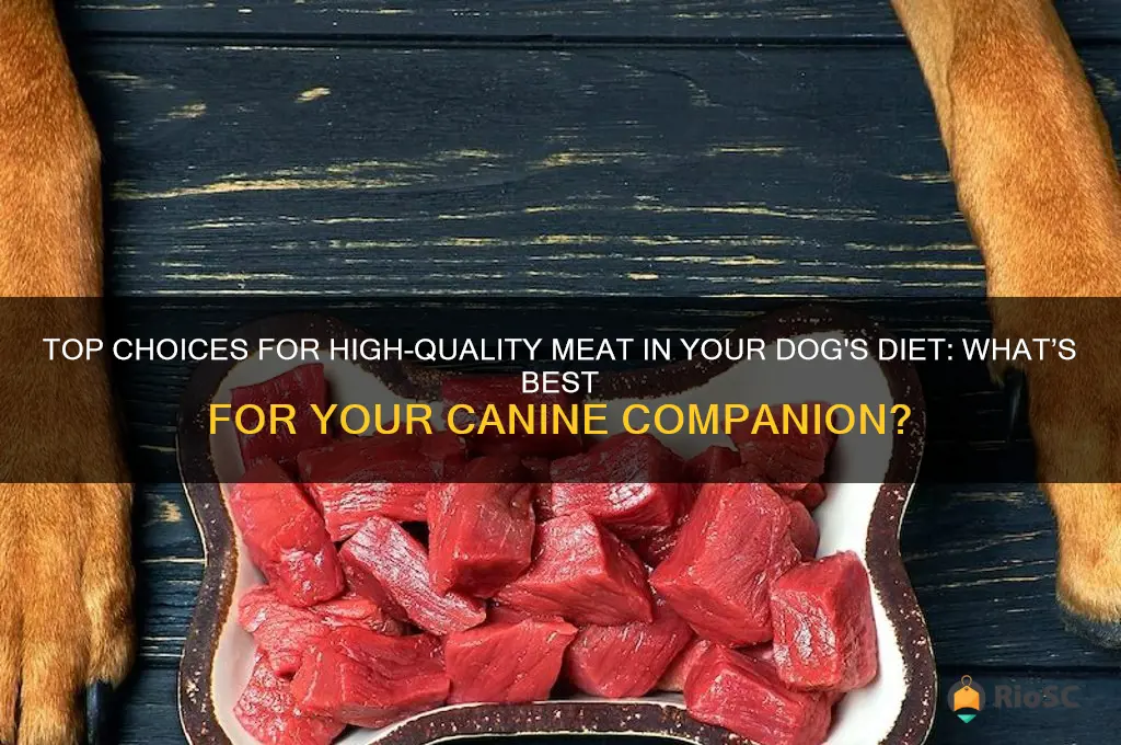 best meat for dog food