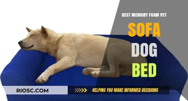 Ultimate Comfort for Your Furry Friend: The Best Memory Foam Pet Sofa Dog Bed