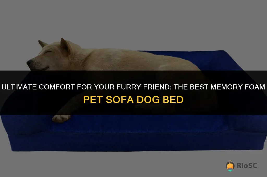 best memory foam pet sofa dog bed