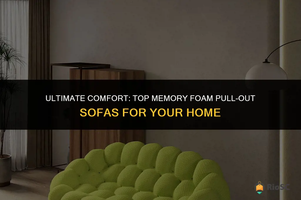 best memory foam pull out sofa