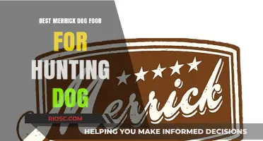 Top Merrick Dog Food Options to Fuel Your Hunting Dog's Performance and Endurance