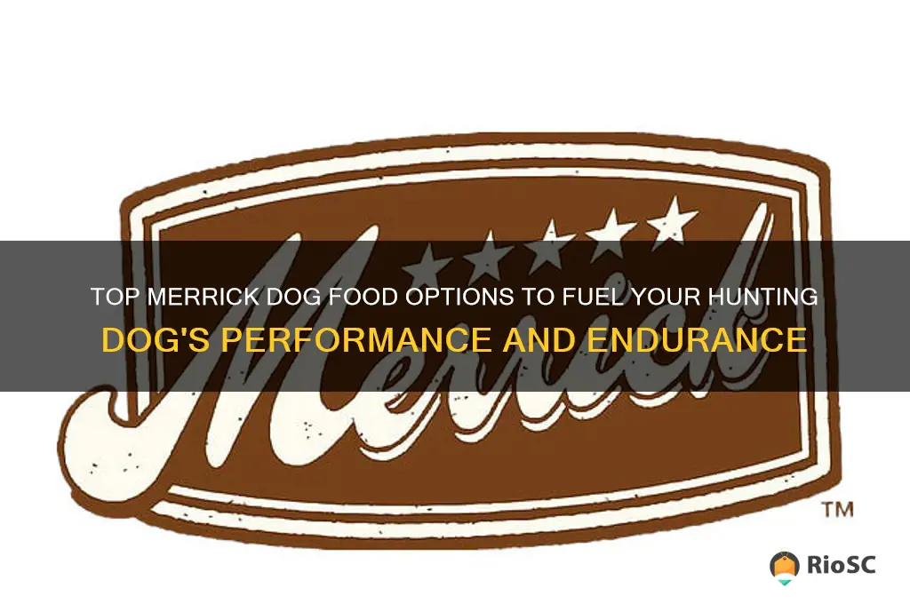 best merrick dog foor for hunting dog