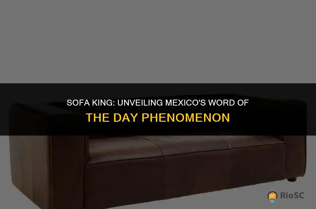 best mexican word of the day sofa king