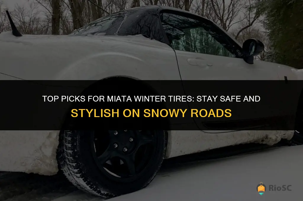 best miata winter tires