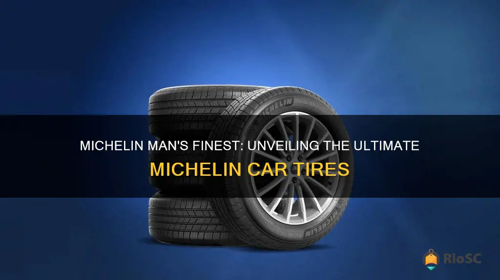 best michelin car tires