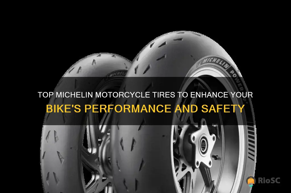 best michelin motorcycle tires for my bike