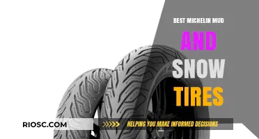 Top Michelin Mud and Snow Tires: Unmatched Performance for Winter Driving