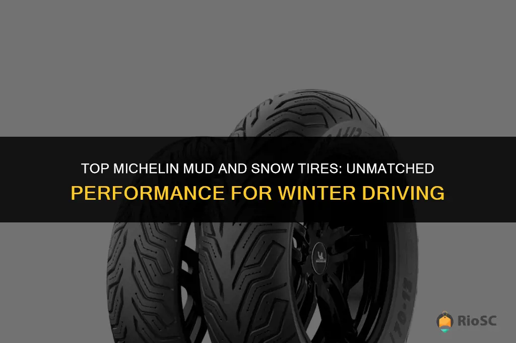 best michelin mud and snow tires
