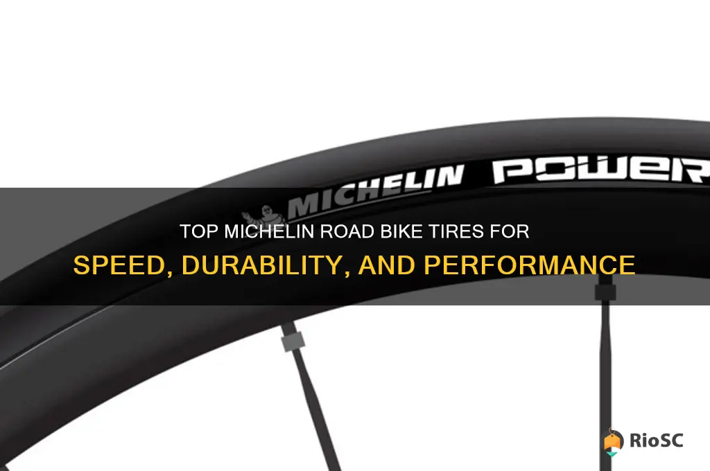 best michelin road bike tires