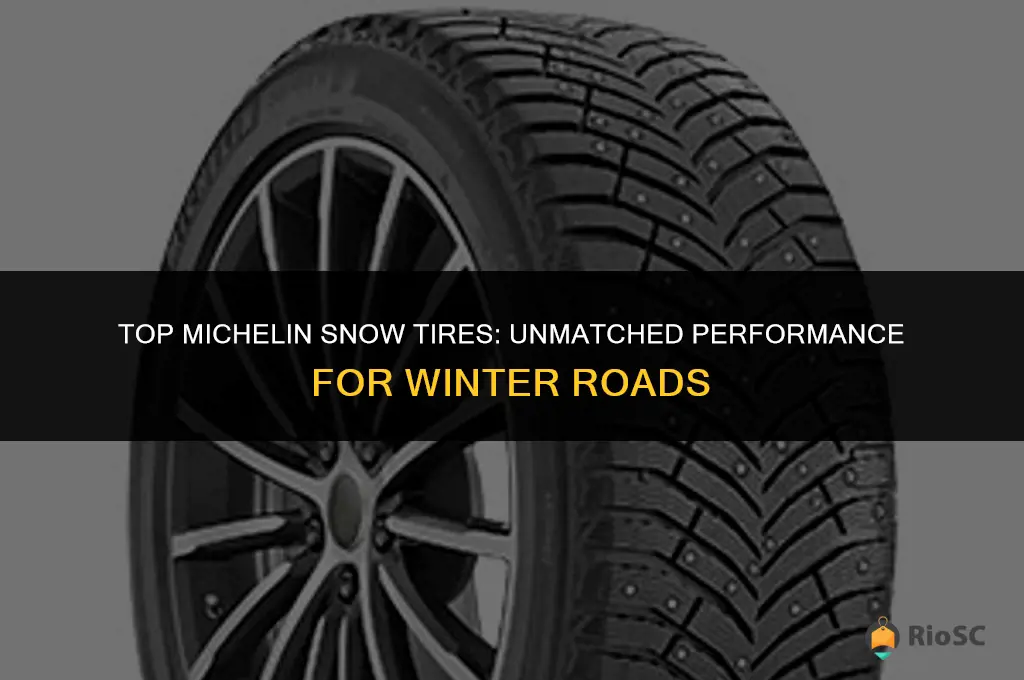 best michelin snow tires