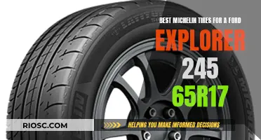 Michelin Advantage: Ford Explorer Tire Options for a Smooth Ride