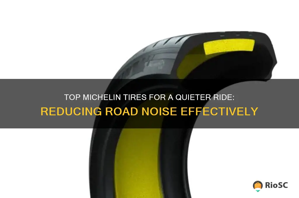 best michelin tires for road noise